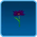 A purple flower