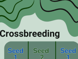 Crossbreeding - what is it and how to start?