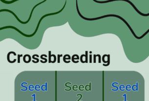 Crossbreeding - what is it and how to start?